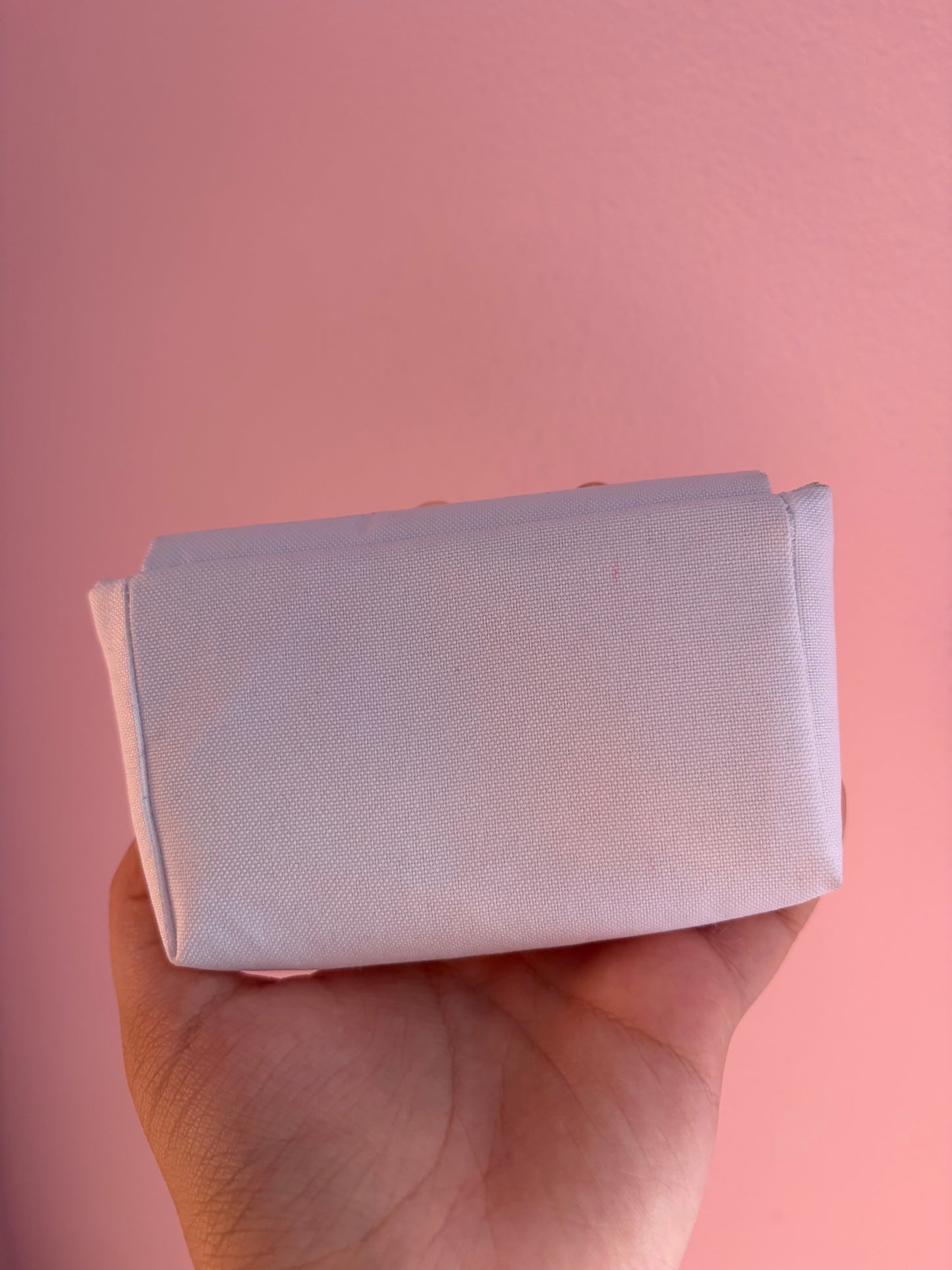 art challengers camera pouch